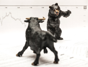 Bull Vs Bear stock market concept