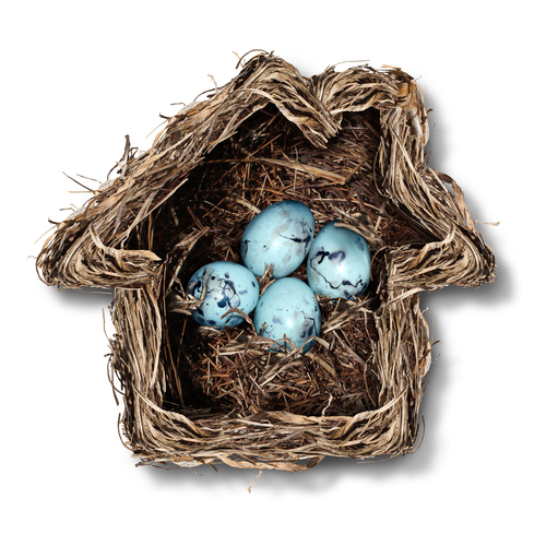 Home insurance concept and family security symbol as a bird nest shaped as a house with a group of fragile eggs inside as a metaphor for protection of residence or parenting.