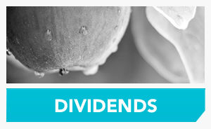 blog-see-more-dividends