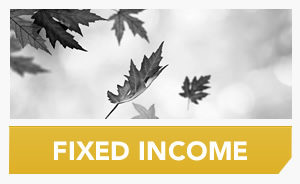 blog-see-more-fixed-income